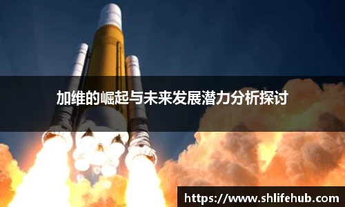 3377体育平台