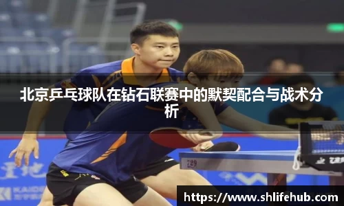 3377体育官网