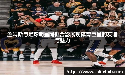 3377体育官网