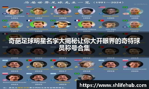 3377体育官网